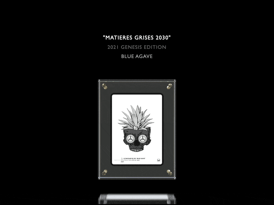 Matières Grises 2030 GENESIS